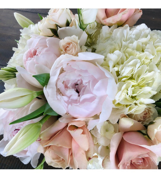 Adagio Carlsbad Florist San Diego Wholesale Flowers Carlsbad