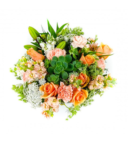 Vibrant Peach Carlsbad Florist San Diego Wholesale Flowers