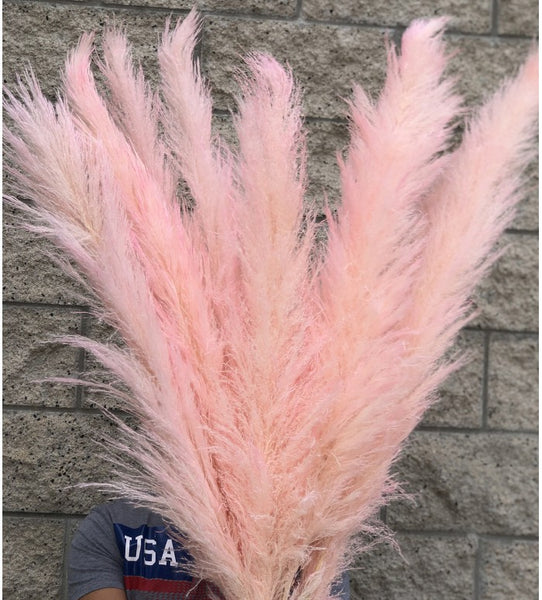 Large bright pink pampas grass - Noir Florist