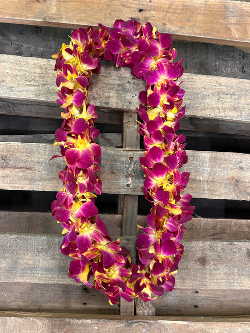 Yellow Bombay Double Lei