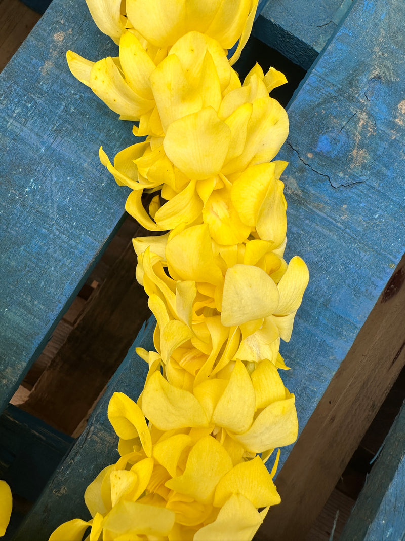 Yellow Orchid Double Lei