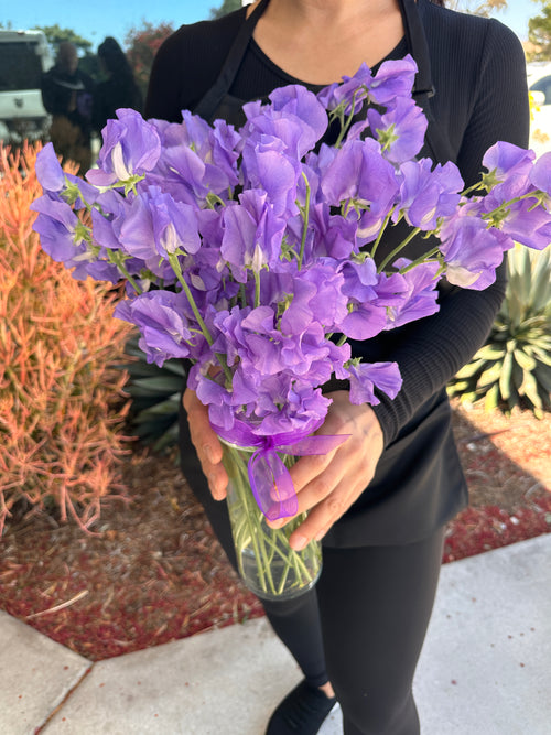 Luxury Sweet Pea's