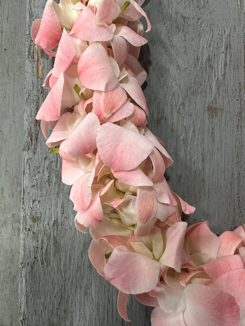 Blush Pink Orchid Double Lei