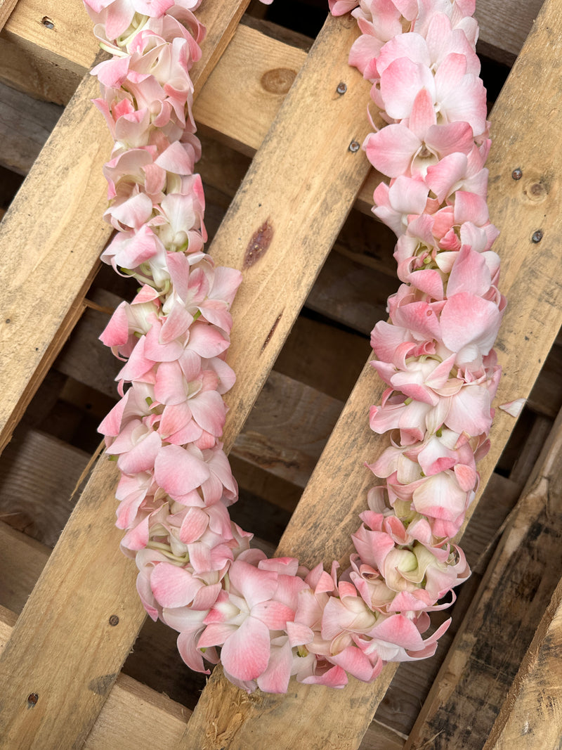 Blush Pink Orchid Double Lei