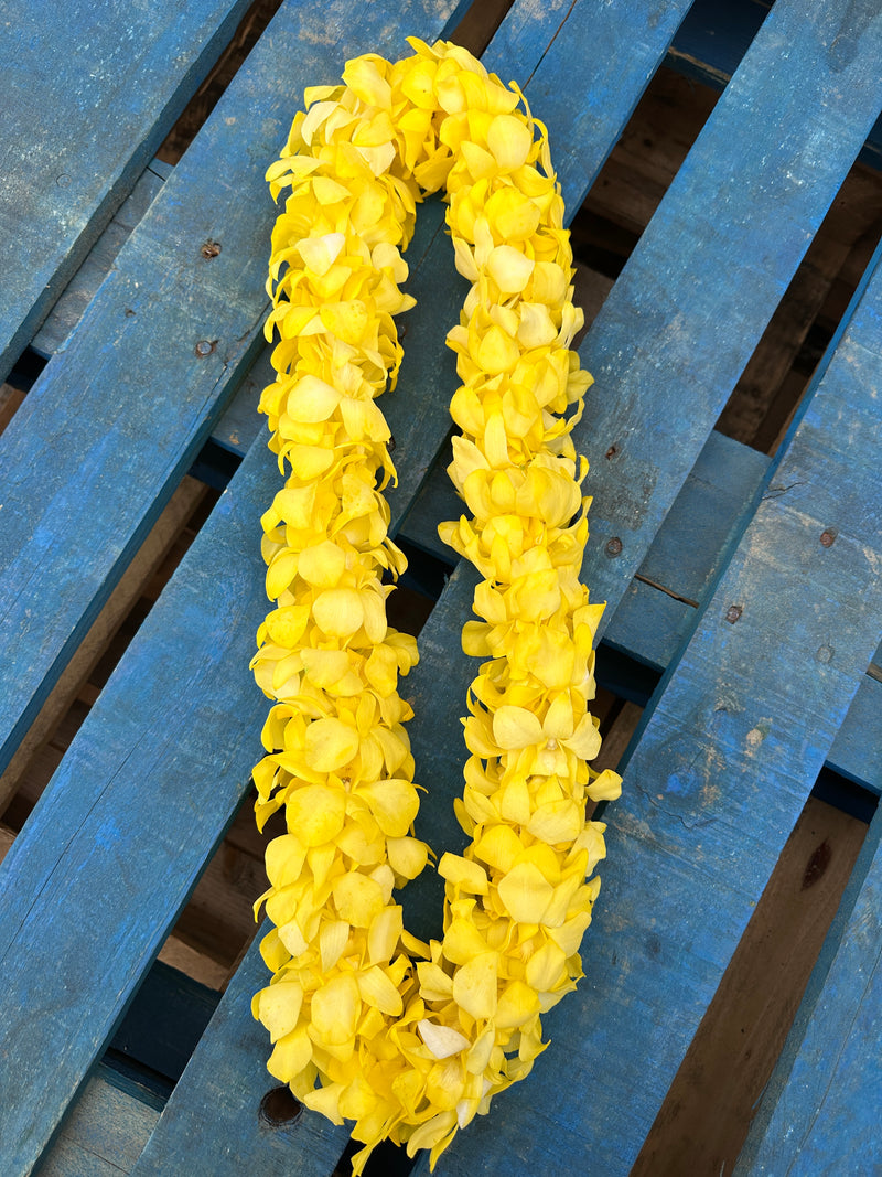 Yellow Orchid Double Lei