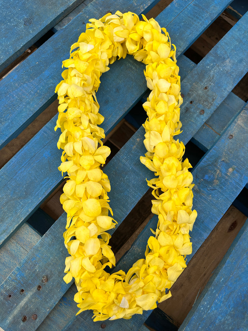 Yellow Orchid Double Lei