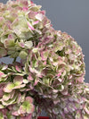 Antique Hydrangea Bunch