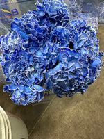 Blue Tinted Carnation Bunch