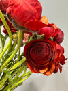 Burgundy Ranunculus