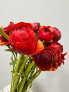 Burgundy Ranunculus
