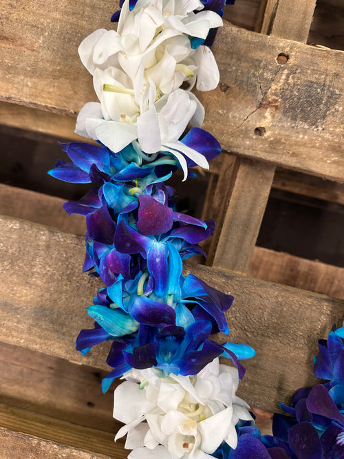 White & Blue Double Lei