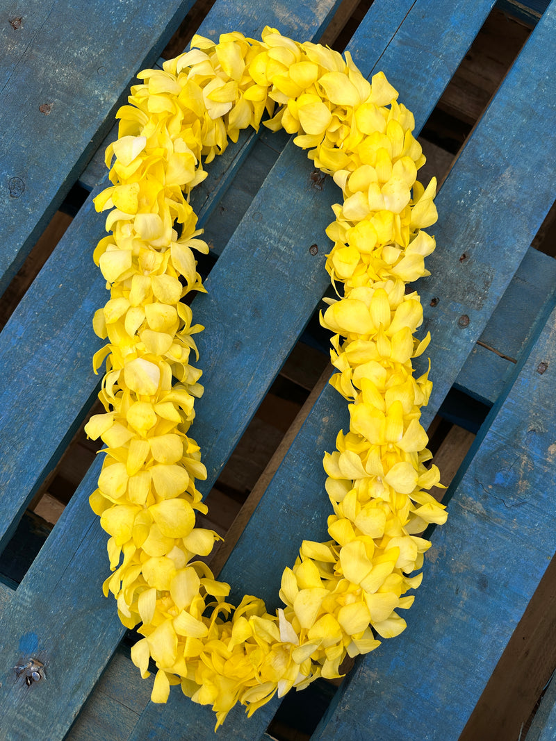 Yellow Orchid Double Lei