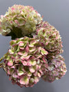 Antique Hydrangea Bunch