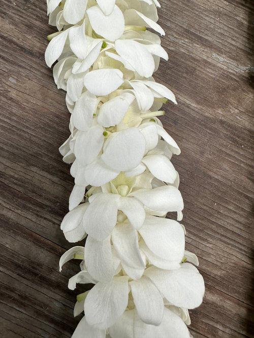 White Double Orchid Lei