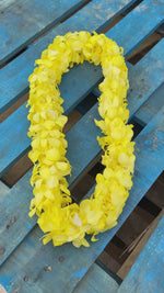 Yellow Orchid Double Lei