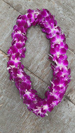 san diego graduation lei