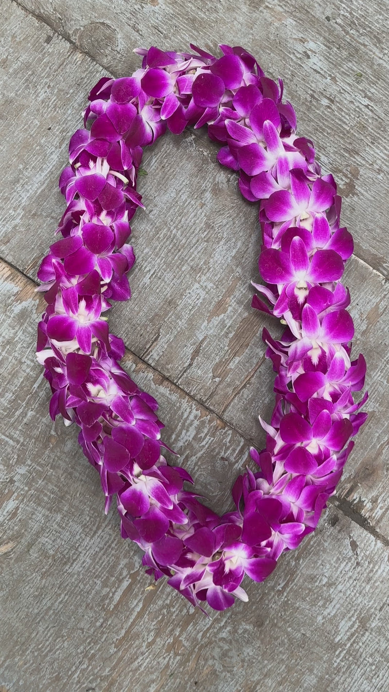 san diego graduation lei