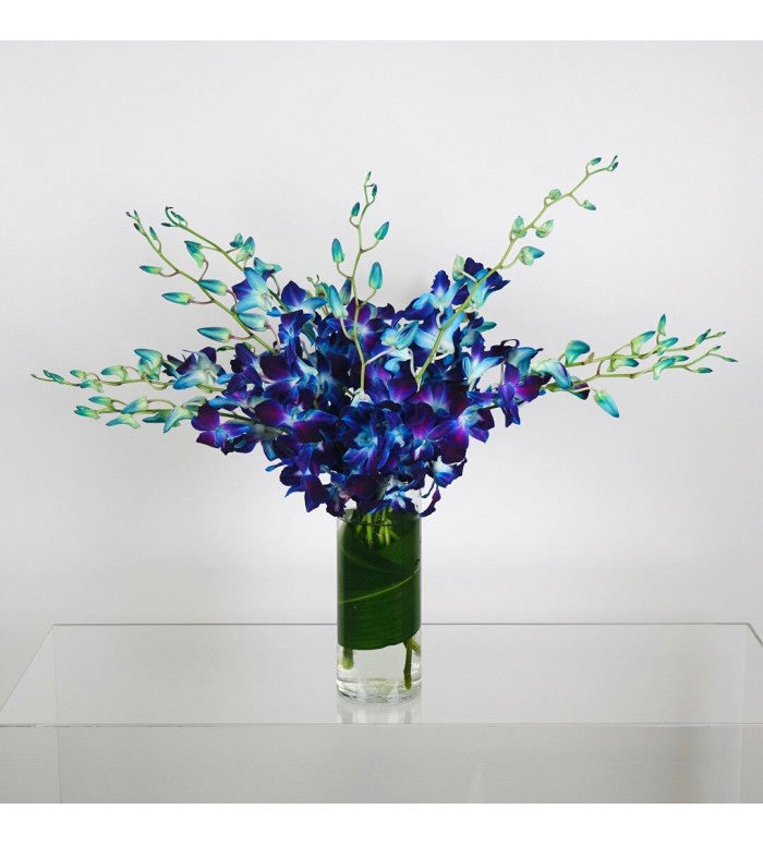 Blue Dendorbium Orchid Vase