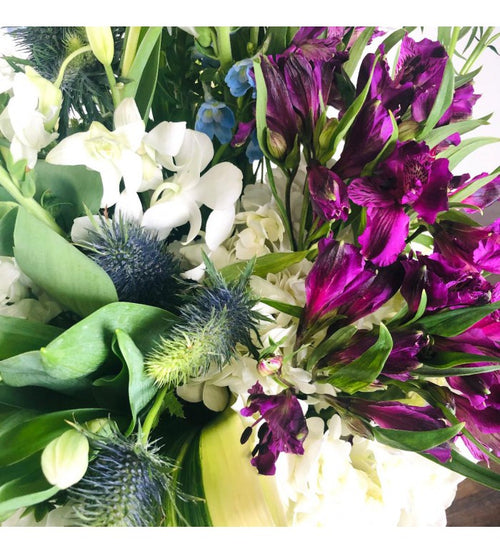 White Wax Flower – Carlsbad Florist, San Diego Wholesale Flowers