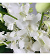 Deluxe White Orchids
