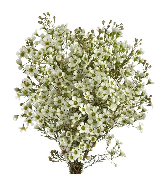 Artificial Baby's Breath Flowers, Wholesale