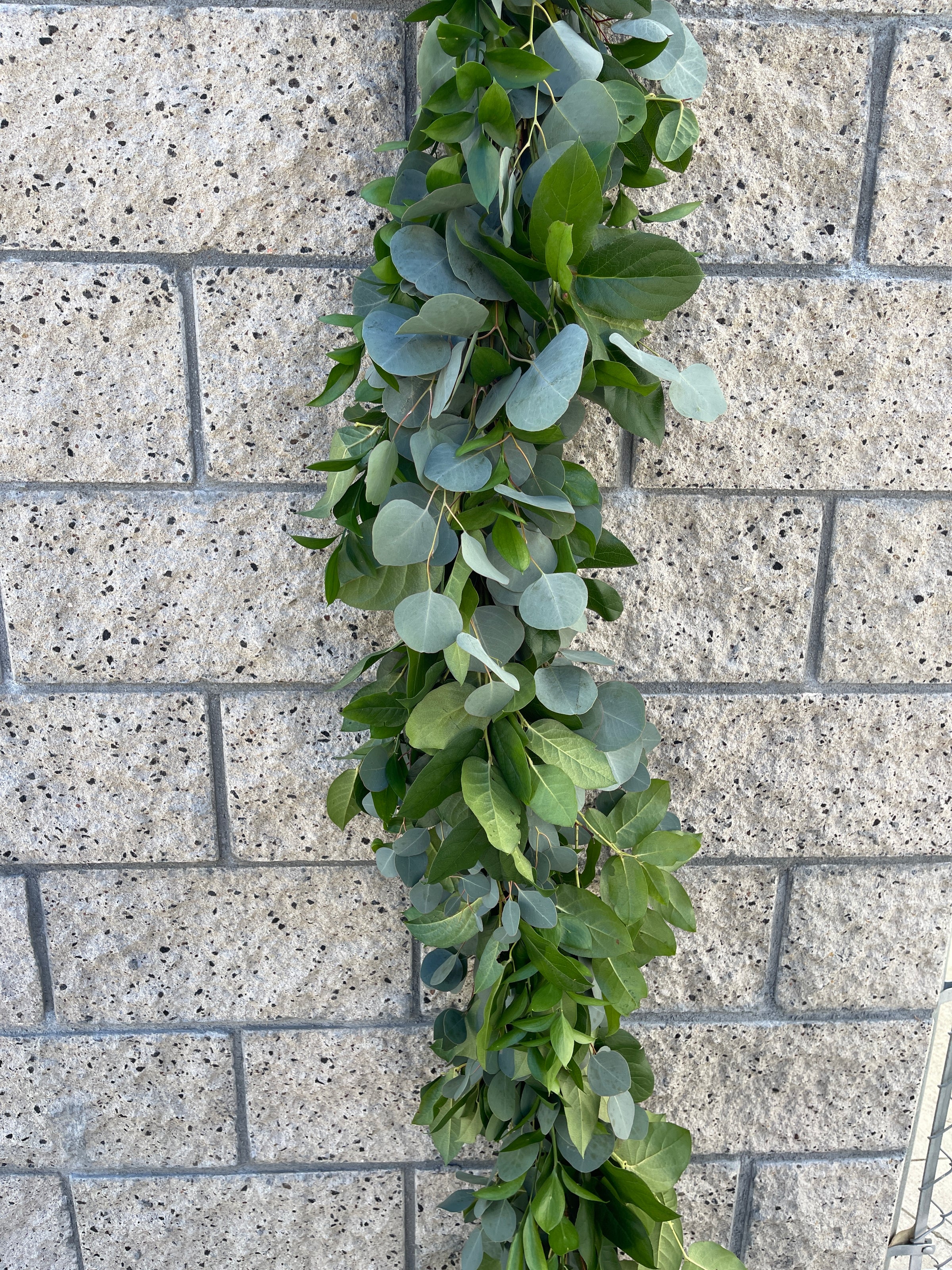 Olive Branches w/Eucalyptus Garland Per FT – Carlsbad Florist, San Diego  Wholesale Flowers