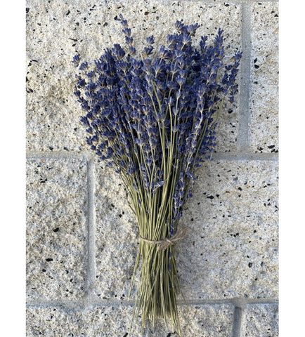 lavender plants for sale san diego Dried Lavender Bunch