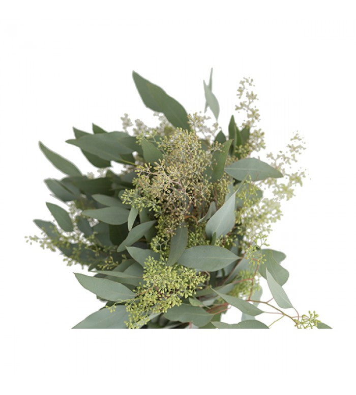 Eucalyptus bunch – Growers Direct Flowers