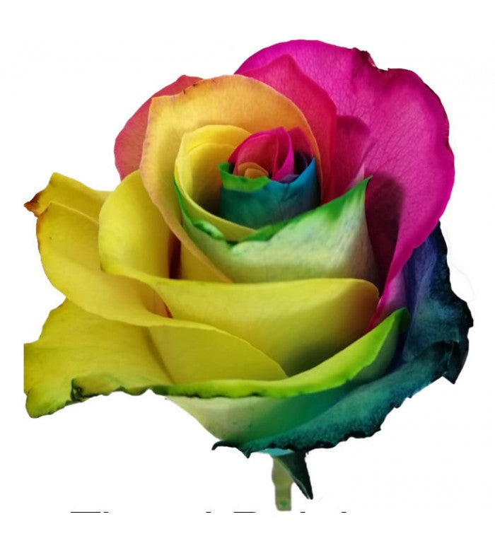 Tinted Rainbow Rose Bunch