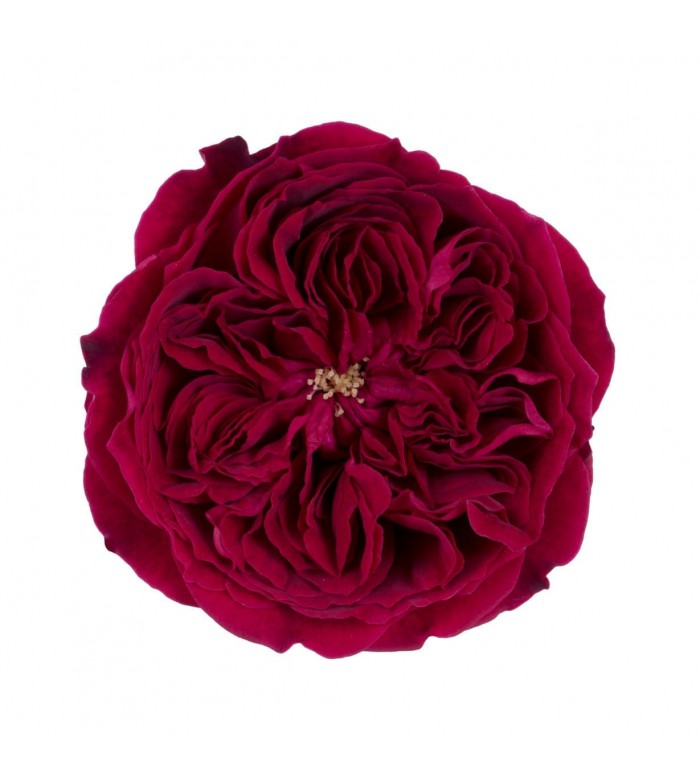 Rose Heart Wreath Florist Carlsbad CA - Flower Delivery Carlsbad